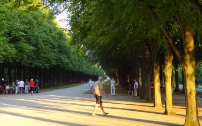 16.08.2018 Sommerlinge N0 19