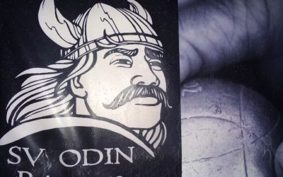 15.11.2018 Winterlinge N0 7