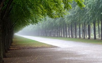 20.06.2019 Sommerlinge N0 11