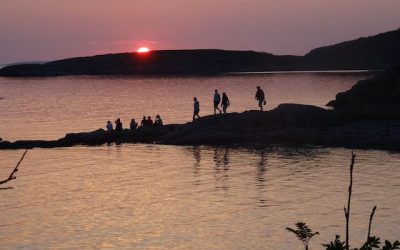 auf gehts ins Jahr 2021
