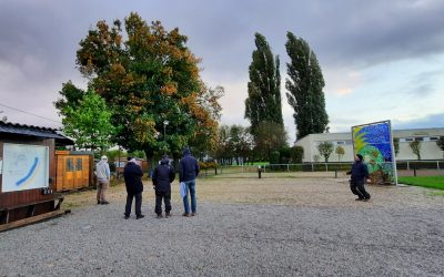 Windige Winterlinge No 3