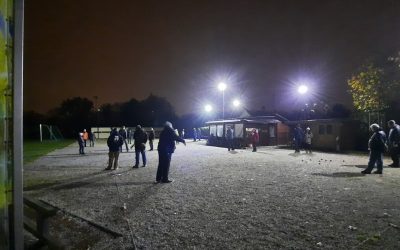 Winterlinge No6 am 11.11.21