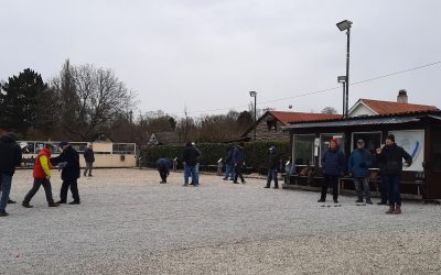 Winterlinge – letzte Runde