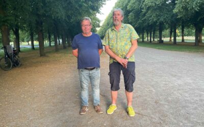 Sommerlinge No11